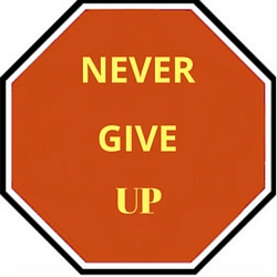 Stop Never Give Up