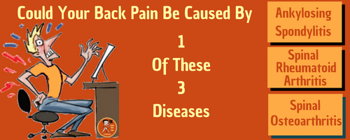 What Is Spine Disease